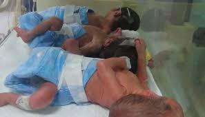 وزیر آباد : سیلاب کے باعث بروقت طبی امداد نہ ملنے پر خاتون کے 3 نومولود جاں بحق