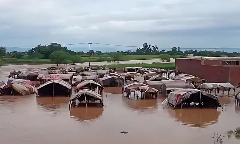 گجرات میں 573 میلی میٹرریکارڈبارش،اربن فلڈنگ سےشدید تباہی،درجنوں دیہات ڈوب گئے