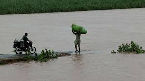 گجرات میں سیلاب سے 2 لاکھ 38 ہزار ایکڑ فصلیں تباہ،زرعی بحران کاخدشہ