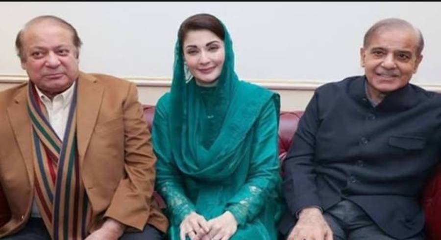 مریم نواز اور شہباز شریف میں اختلاف کی وجہ ایک عہدیدار کی تعیناتی بنی، اجمل جامی