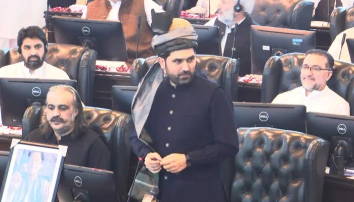 نام کیساتھ بھٹولگتاہے نہ زرداری نہ شریف ،میں محنت کرکے یہاں پہنچا ہوں، سہیل آفریدی