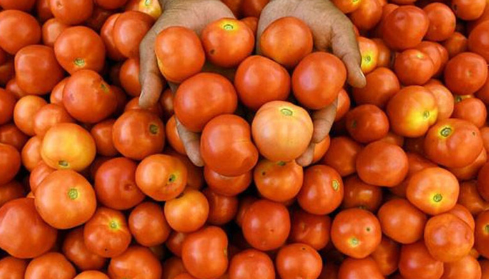 پاکستان میں ٹماٹر قیمت 500 سے 600 روپے کلو تک پہنچ گئی