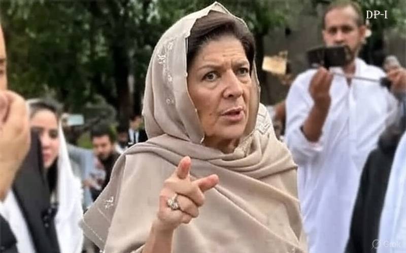 27ویں ترمیم کے خلاف قوم کھڑی نہ ہوئی تو پھر بھیڑ بکریاں بنا دی جائے گی،علیمہ خان