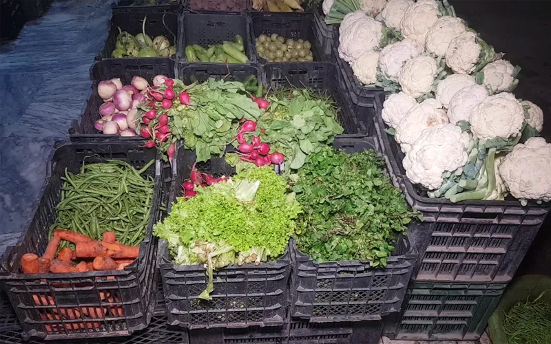 گجرات میں صبح صویرے ڈکیتی، ڈاکوؤں نے سبزی فروش کو لوٹ لیا