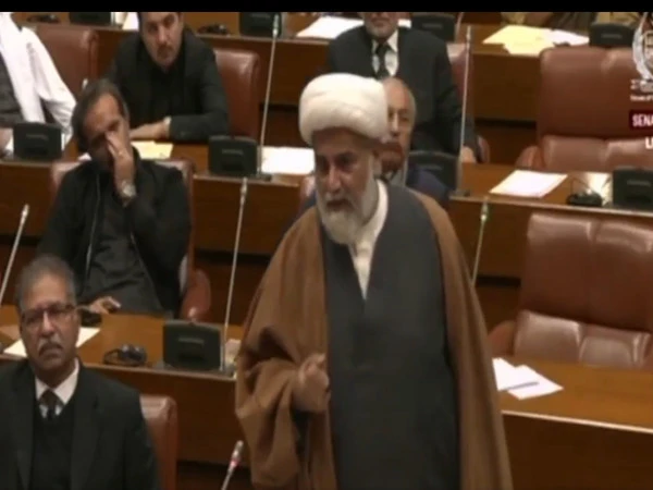 آرمی چیف اپنی ڈومین میں چلے جائیں تو میں ان کے ہاتھ چوموں گا، سینیٹر راجا ناصر عباس