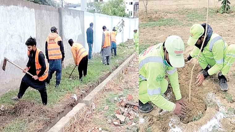 گجرات میں شجرکاری مہم کا آغاز، جی ٹی روڈ کو سرسبز بنانے کا عزم