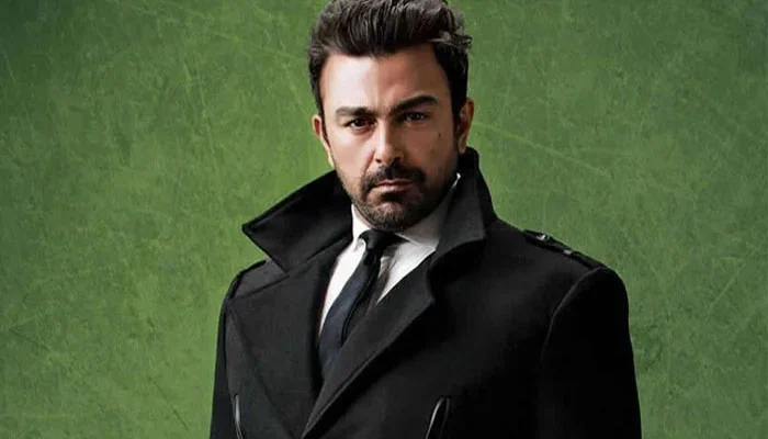 لوگ بھارتی گانے ایک ہفتے بعد بھول جاتے ہیں،شان شاہد