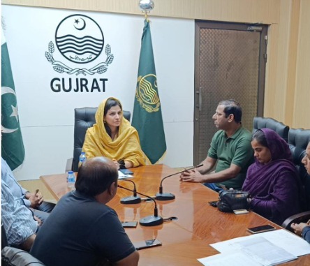 گجرات :ڈی سی نورالعین قریشی کے زیرصدارت انسداد پولیو مہم کااجلاس