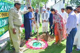 گجرات میں شجرکاری مہم تیز، دھول کالاں میں ہزاروں پودے لگانے کا آغاز