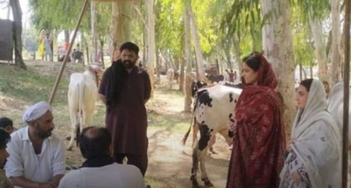 ڈپٹی کمشنر گجرات نور العین قریشی کا سرائے عالمگیر مویشی منڈی کادورہ