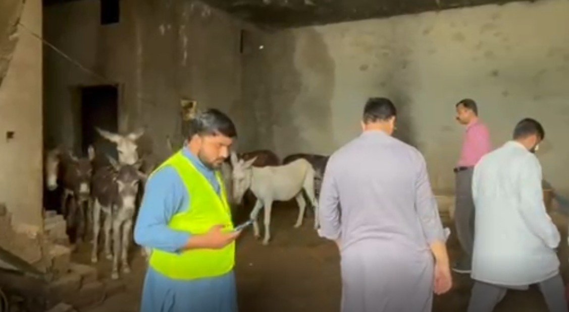 کھاریاں:موسلادھار بارش، چھت گرنے سے16گدھے ملبے تلے دب گئے