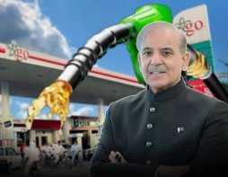 حکومت کاپیٹرول پر 100روپےفی لیٹرریلیف دینے کابڑااعلان